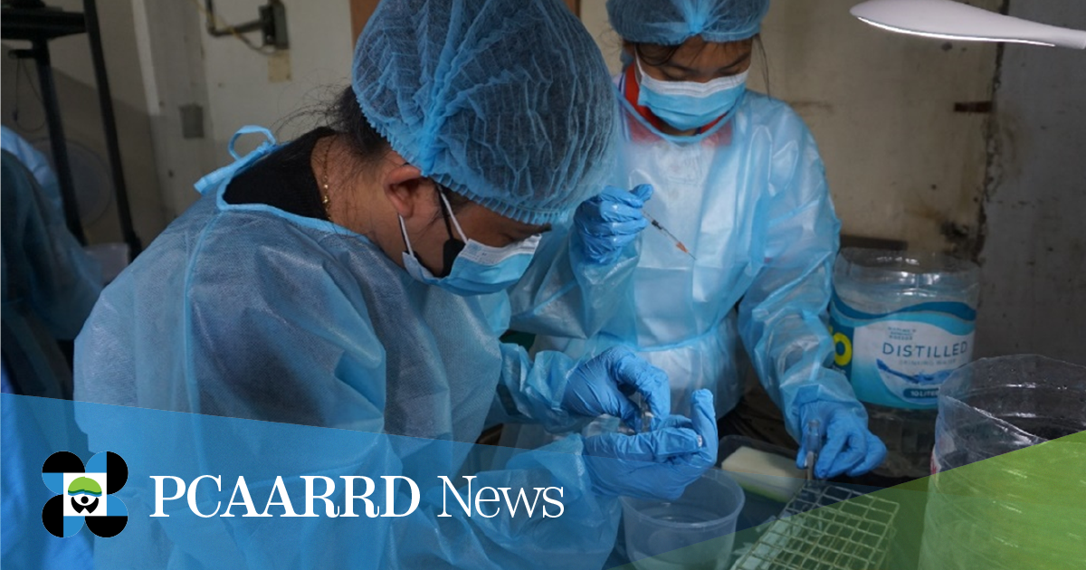 Functional and targeted delivery of probiotics for improved aquaculture productivity attained through UPLB’s MicroBead™